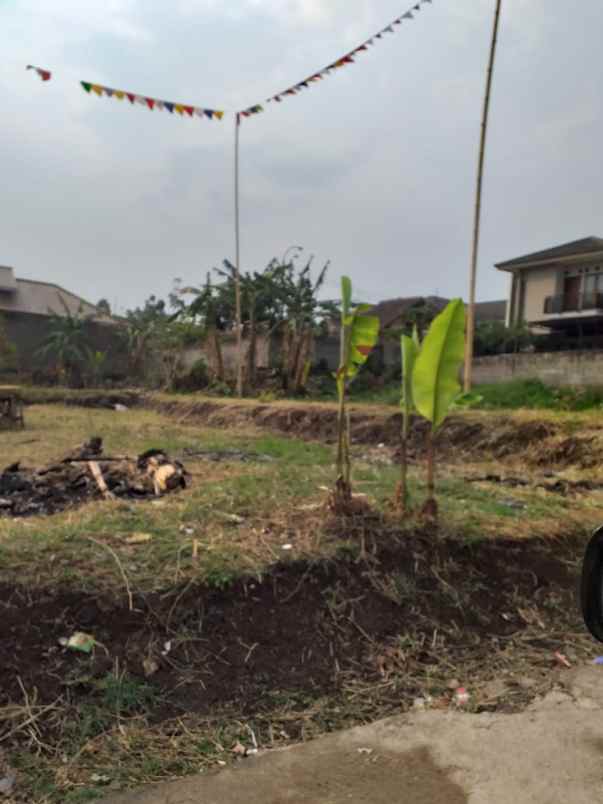 dijual tanah cisintok kadumulya cihanjuang