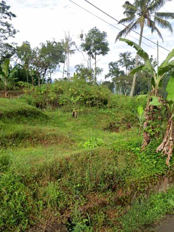 dijual tanah ciwaru