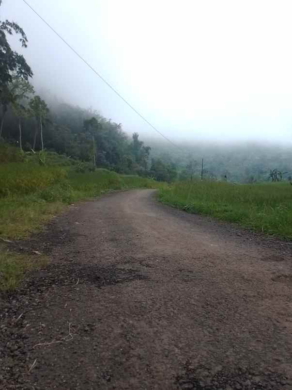 dijual tanah dan sawah produktif pinggir jalan