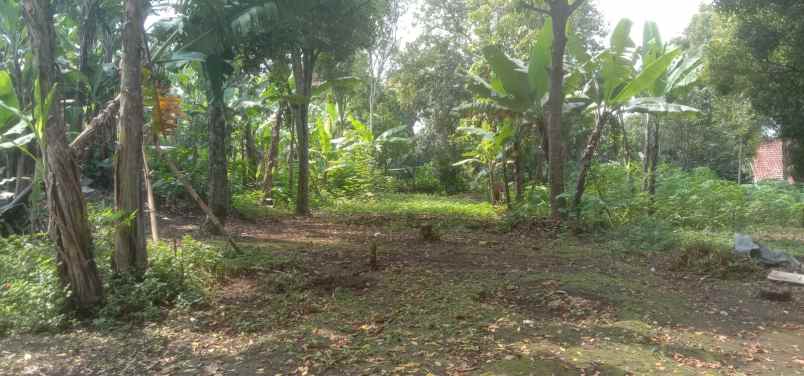 dijual tanah desa cilame kecamatan