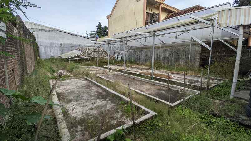 dijual tanah desa genteng wetan kec