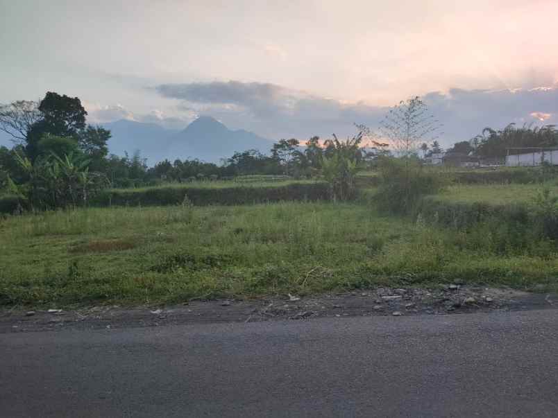 dijual tanah desa karangan kec