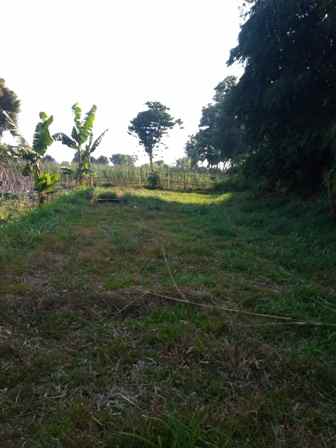 dijual tanah desa pasirhalang kecamatan