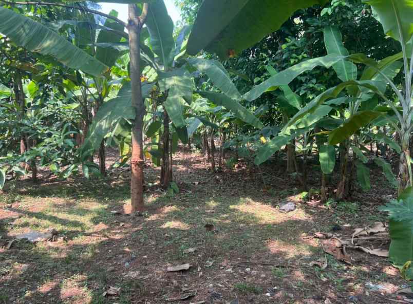 dijual tanah desa purwasari klari kec