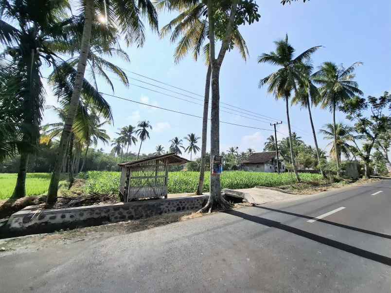 dijual tanah di kelurahan kebon agung jember