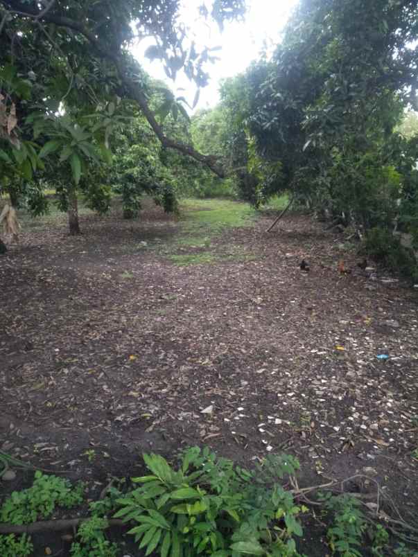 dijual tanah dijual tanah cepat di