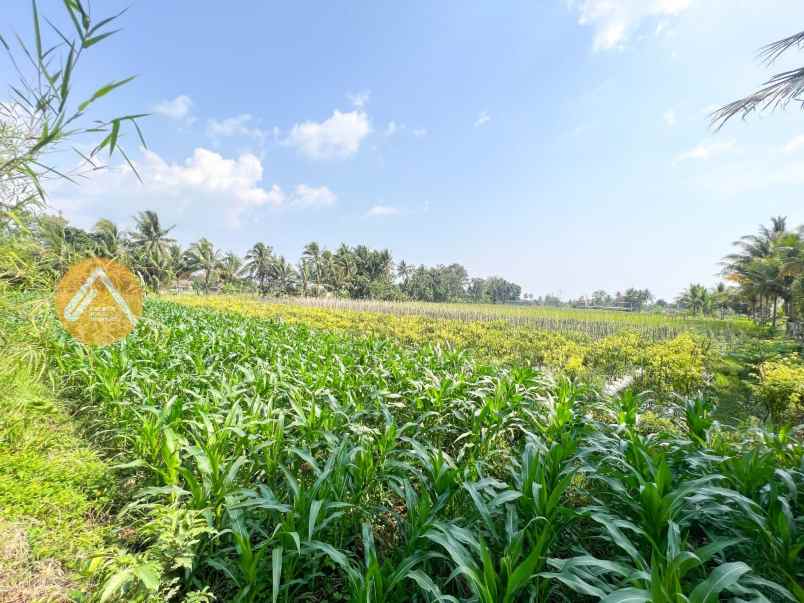 dijual tanah donokerto turi sleman