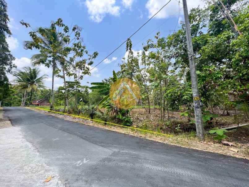 dijual tanah donomulyo nanggulan kulon