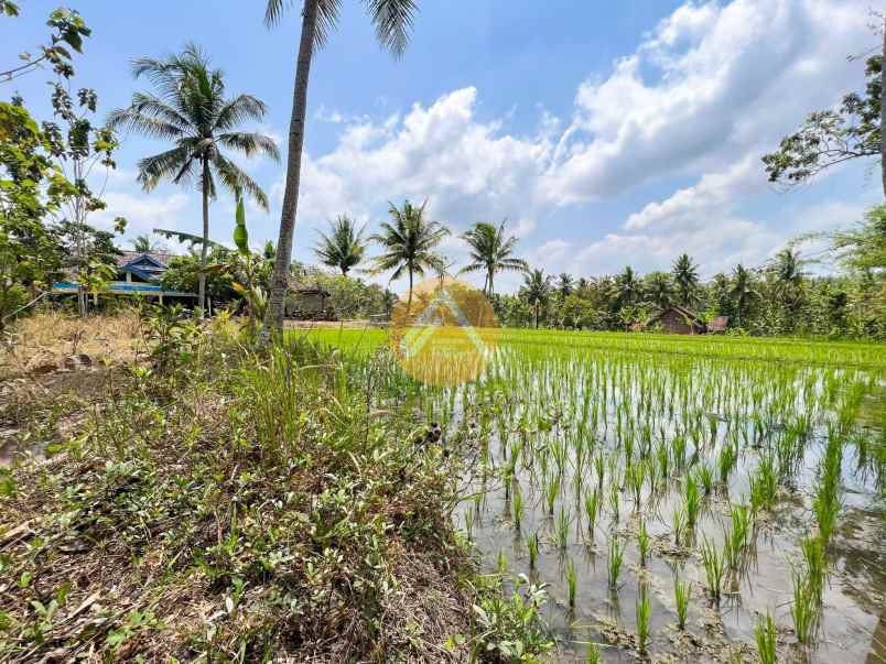 dijual tanah donomulyo nanggulan kulon