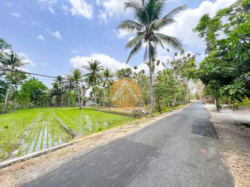 dijual tanah donomulyo nanggulan kulon