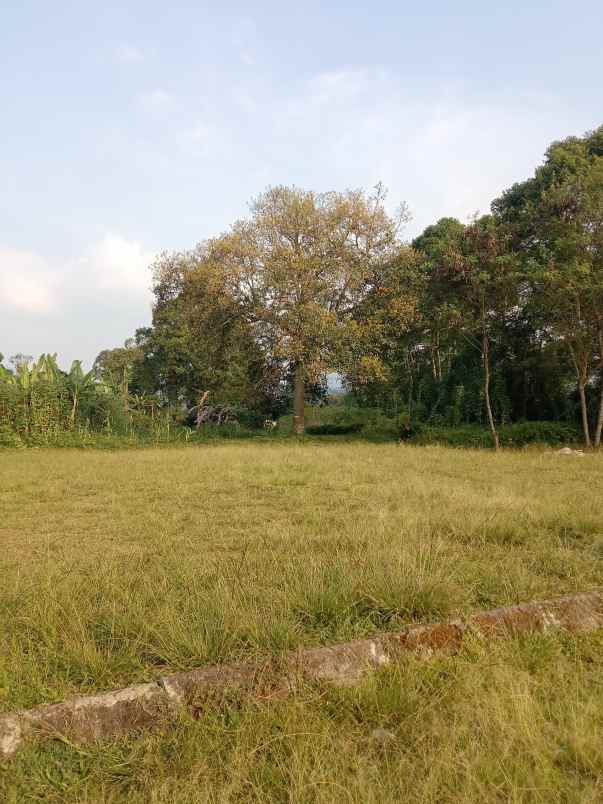 dijual tanah gambung