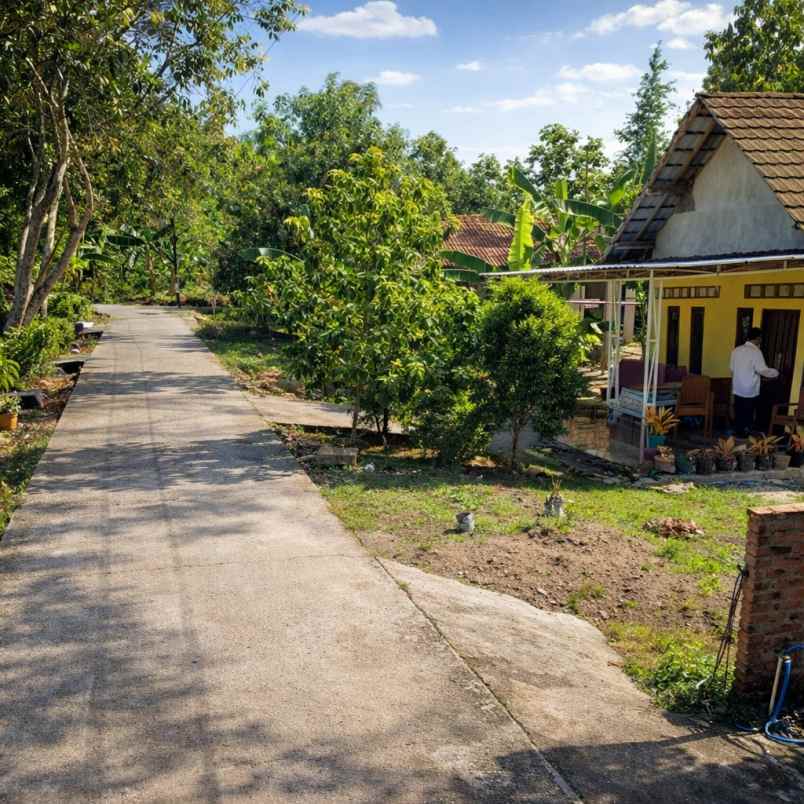 dijual tanah gamping