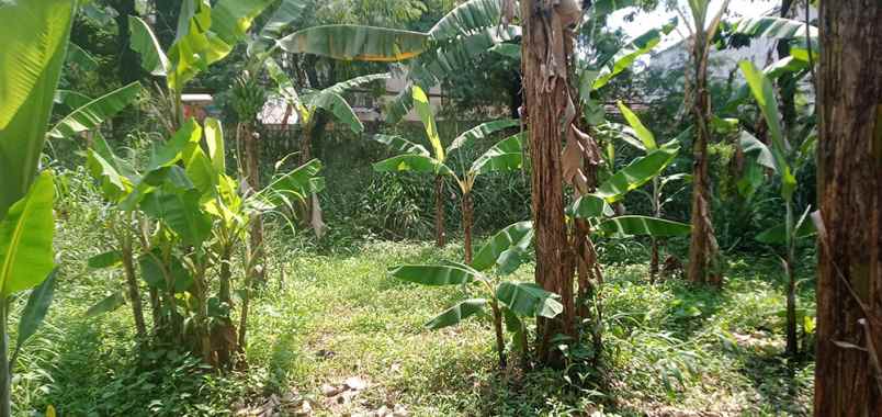 dijual tanah gumuruh