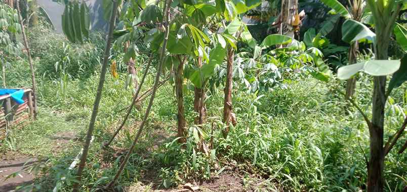 dijual tanah gumuruh