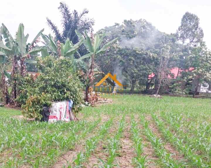 dijual tanah jalan pulau samosir ambarita