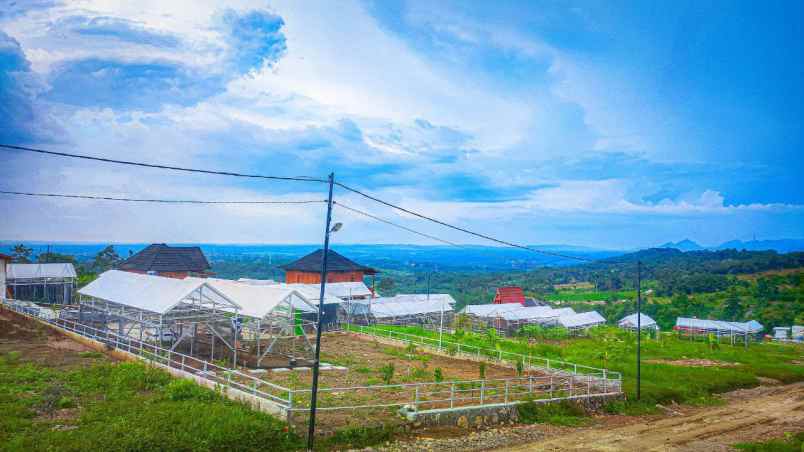 dijual tanah jalan puncak dua