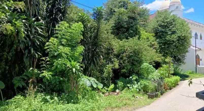 dijual tanah ji raya pasir putih pasir