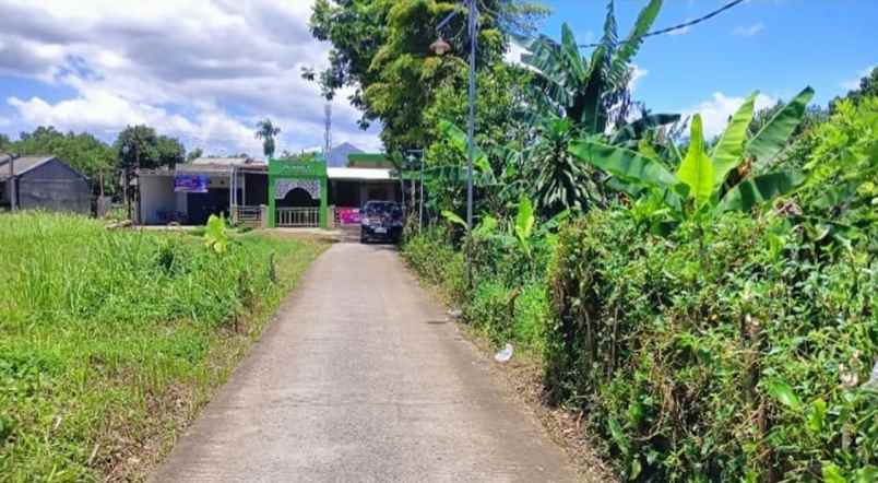 dijual tanah ji raya pasir putih pasir