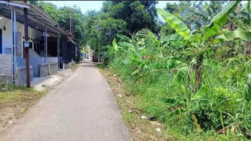 dijual tanah ji raya pasir putih pasir