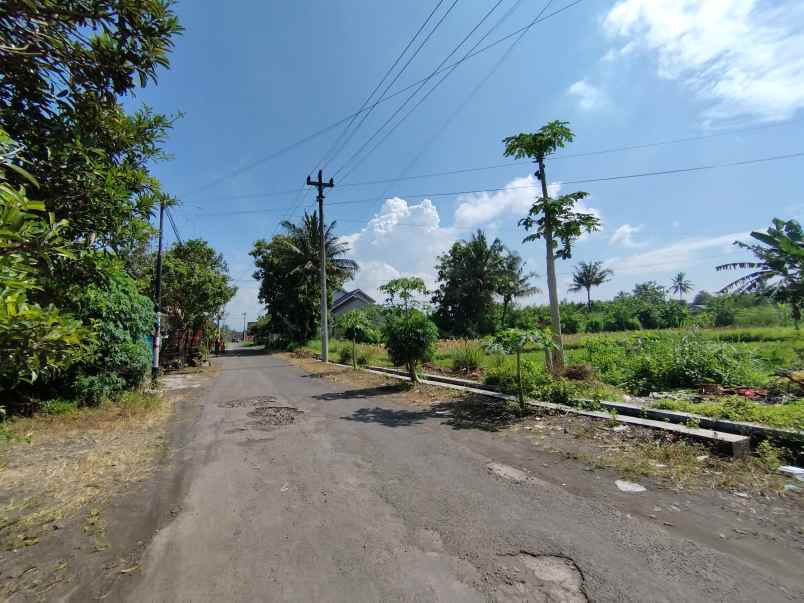 dijual tanah jl cebongan