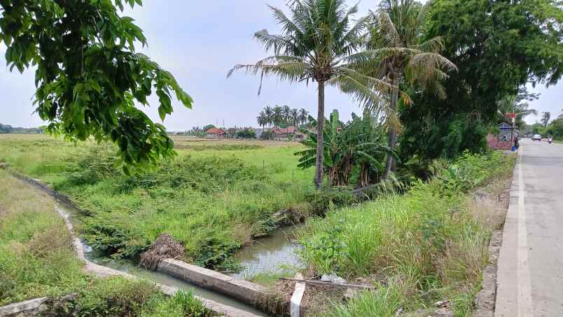 dijual tanah jl ir sutami kec mauk kab