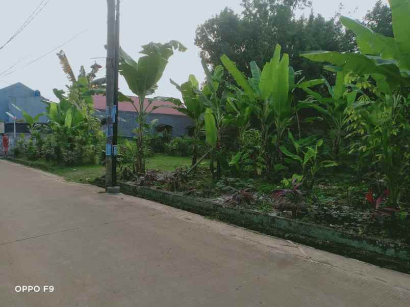 dijual tanah jl rusa