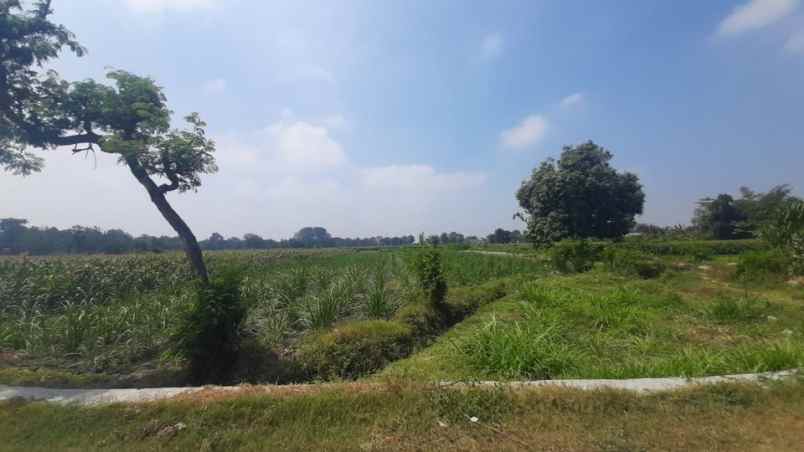 dijual tanah jl totok kerot kediri