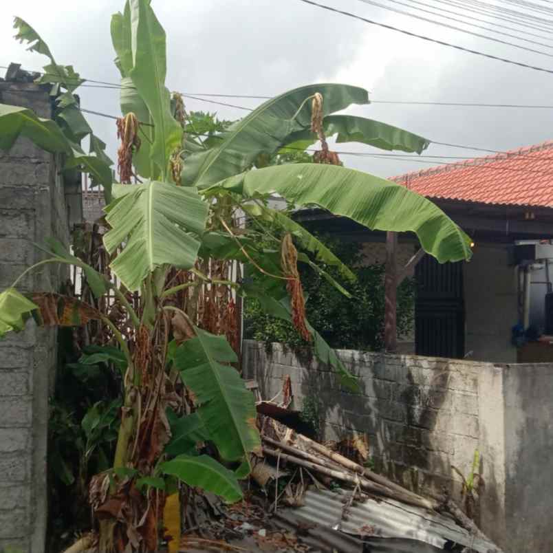 dijual tanah jl tumbak bayuh