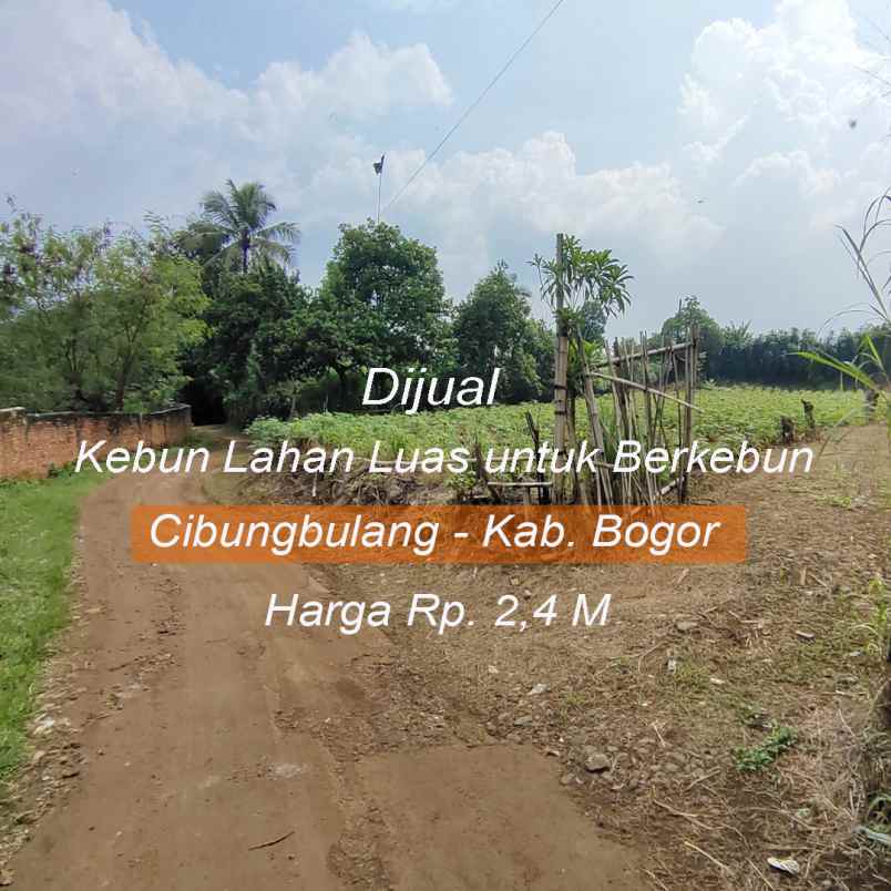 dijual tanah jl wangun jaya kelurahan