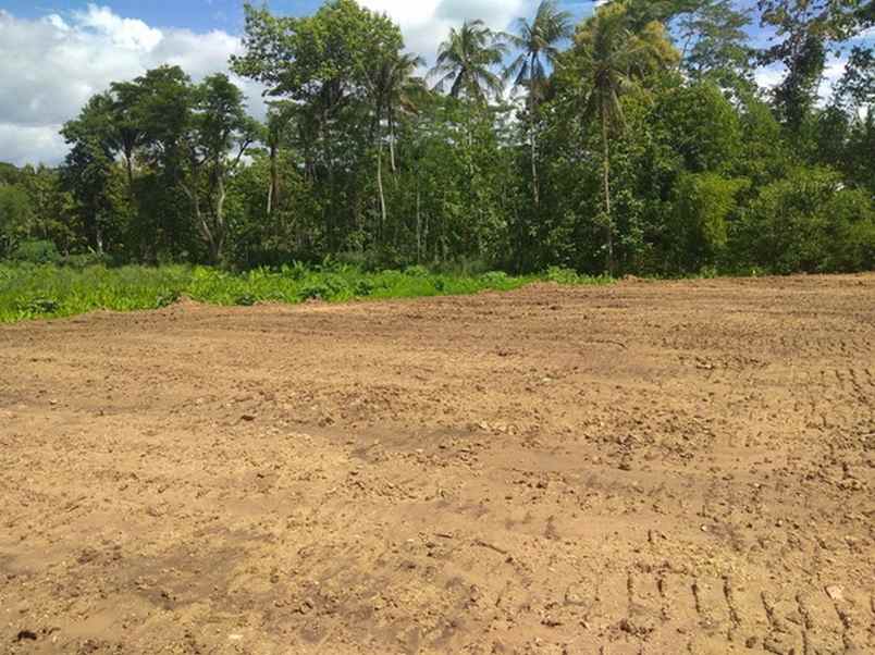 dijual tanah karang tengah kidul