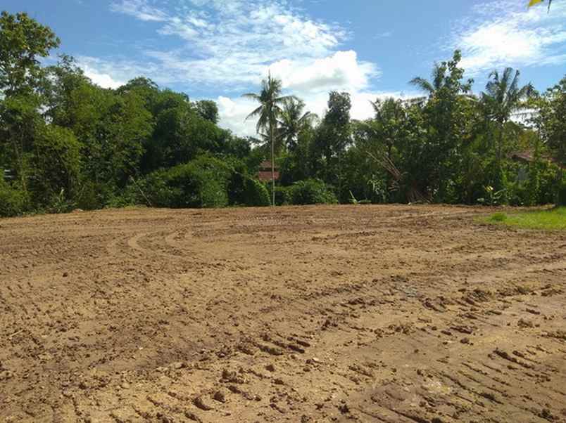 dijual tanah karang tengah kidul