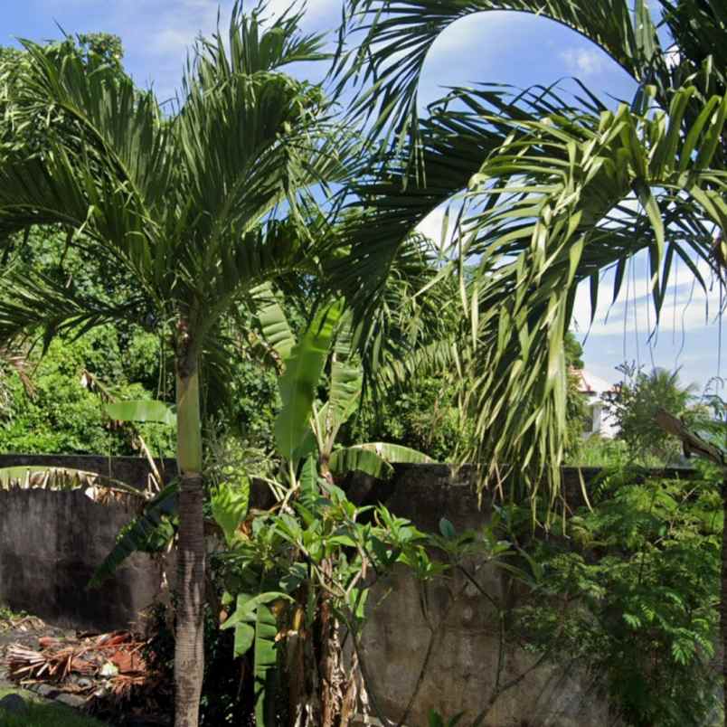 dijual tanah kayu tulang utara