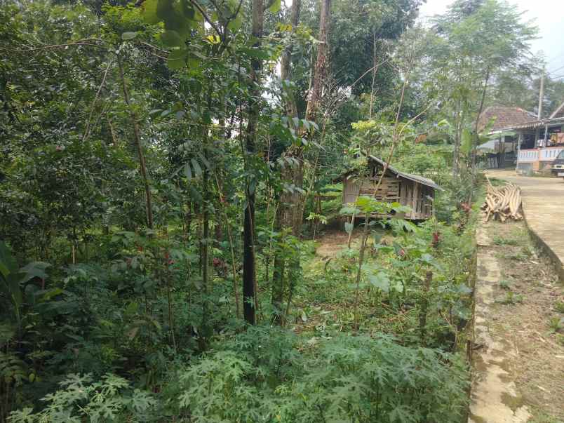 dijual tanah kebun pinggir jl desa