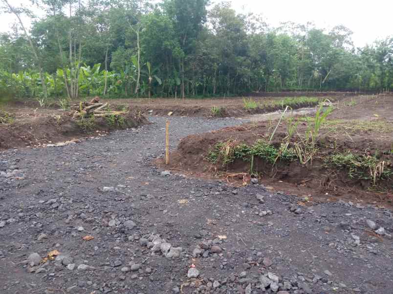 dijual tanah kedungrejo