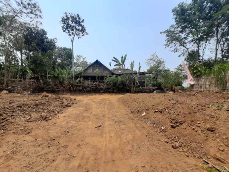 dijual tanah kedungrejo