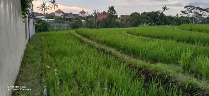 dijual tanah kel kayu tulang kec canggu