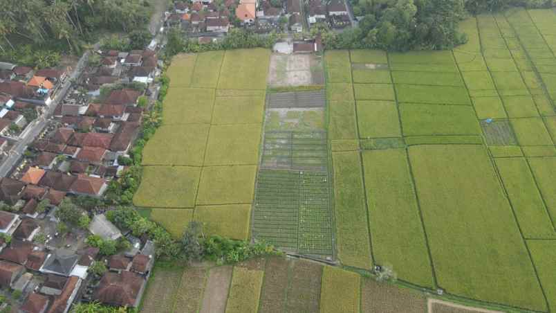 dijual tanah kelating kerambitan