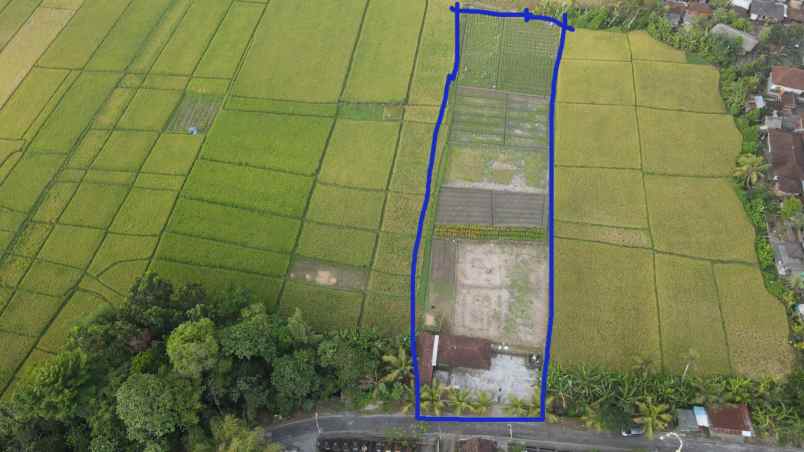 dijual tanah kelating kerambitan