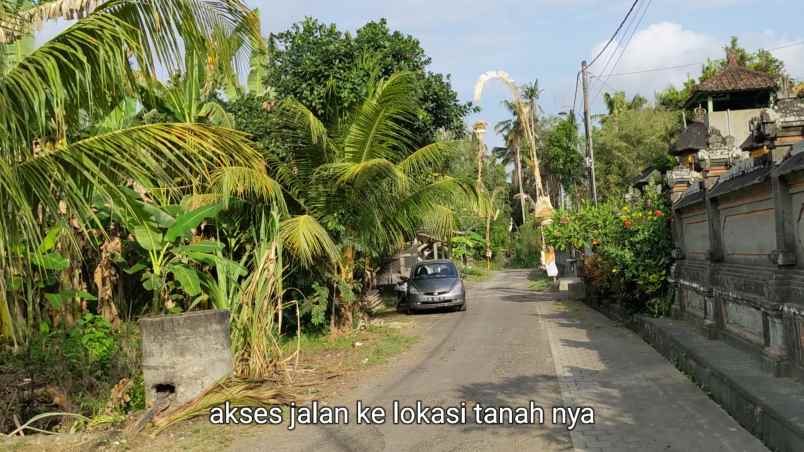 dijual tanah kelating kerambitan