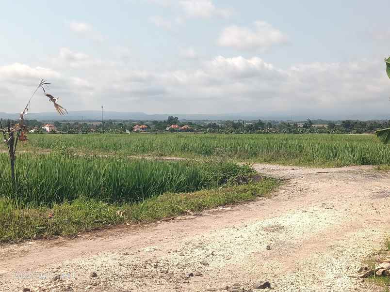 dijual tanah kelating tabanan bali