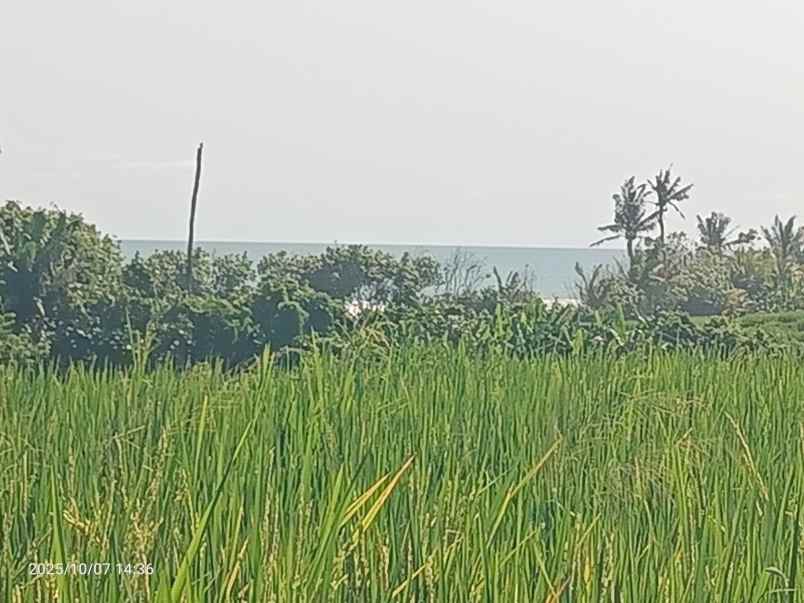 dijual tanah kelating tabanan bali