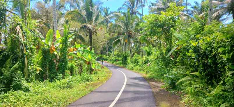 dijual tanah kemetug selemadeg timur