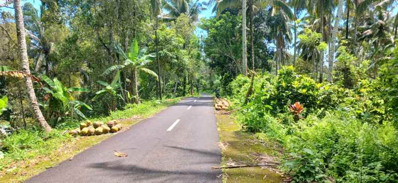 dijual tanah kemetug selemadeg timur