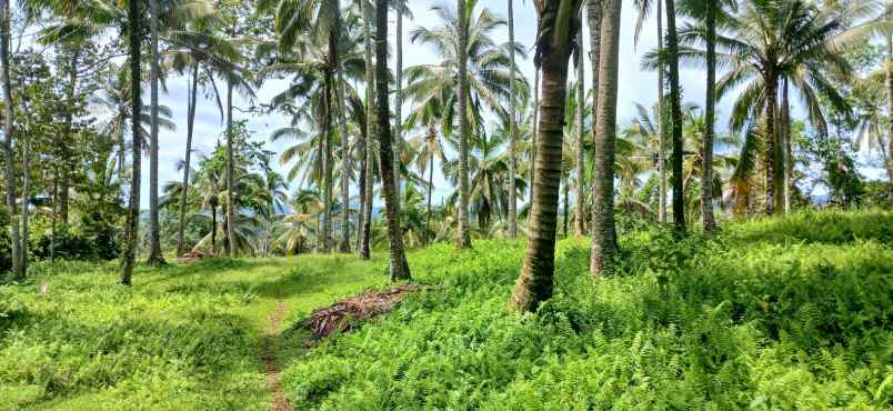 dijual tanah kemetug selemadeg timur