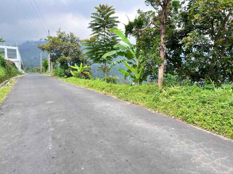 dijual tanah kemuning ngargoyoso