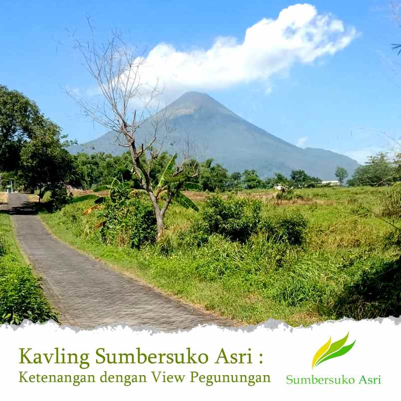 dijual tanah kemuning sumbersuko kec