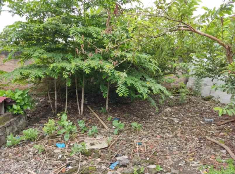 dijual tanah kendeng barat vi