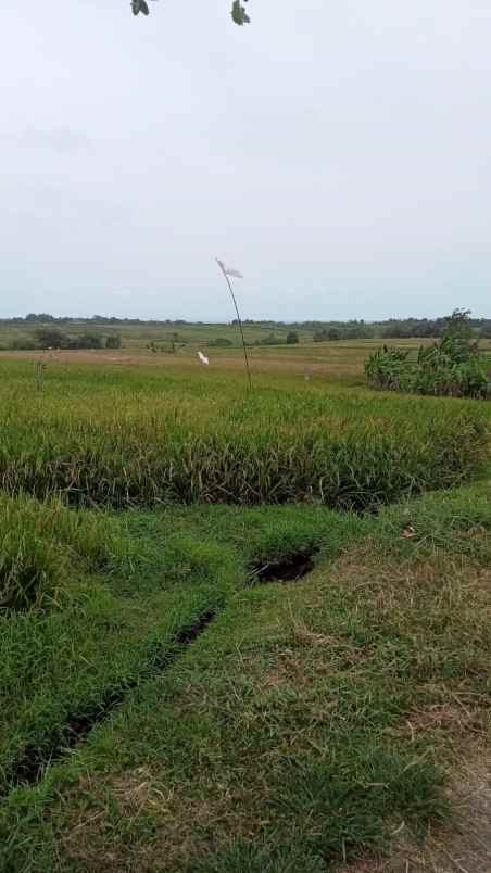 dijual tanah komersil dekat pantai klating tabanan