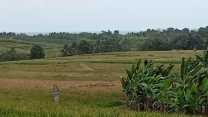 dijual tanah komersil dekat pantai klating tabanan