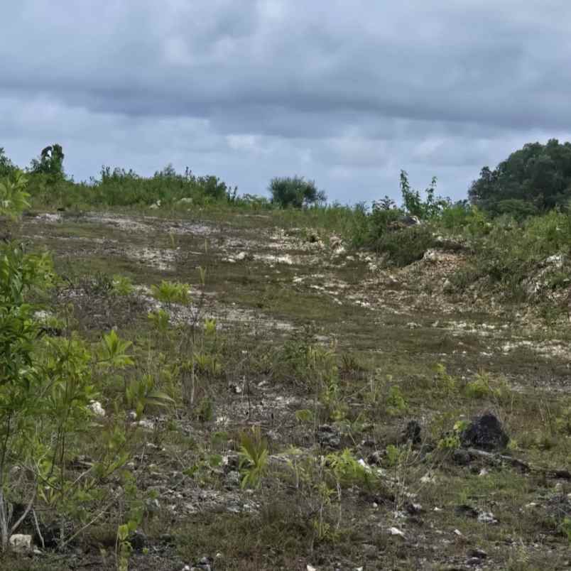 dijual tanah labuansait